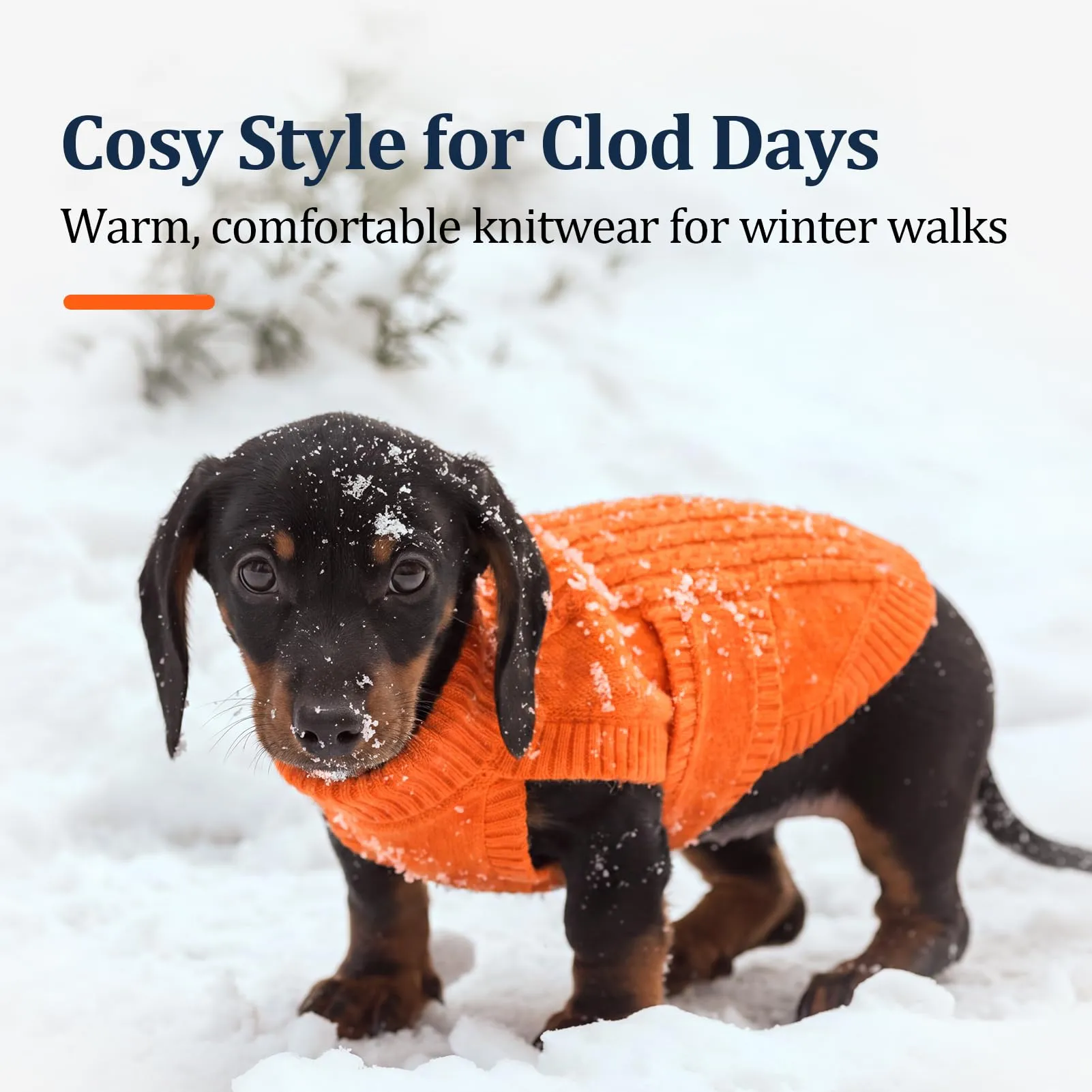 Hjumarayan - Maglione in tricot torto per cane di razza teckel miniature | Maglione caldo senza maniche con colletto arrotolabile | Abbigliamento invernale con foro per il guinzaglio | Tricot senza - immagine 7