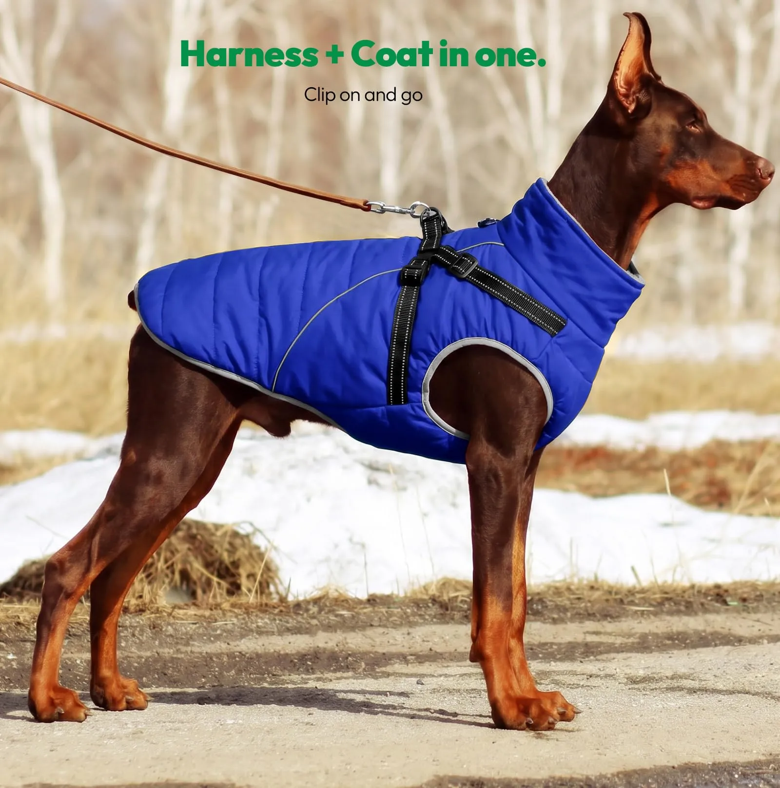 KONVINIT Cappottino Cane Taglia Piccola con Pettorina Integrata - Giubbotto - immagine 9