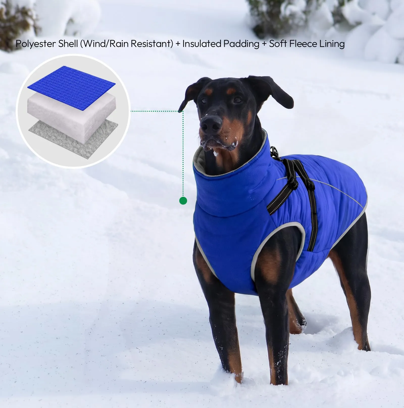 KONVINIT Cappottino Cane Media Giacca Invernale con Pettorina Integrata - immagine 5
