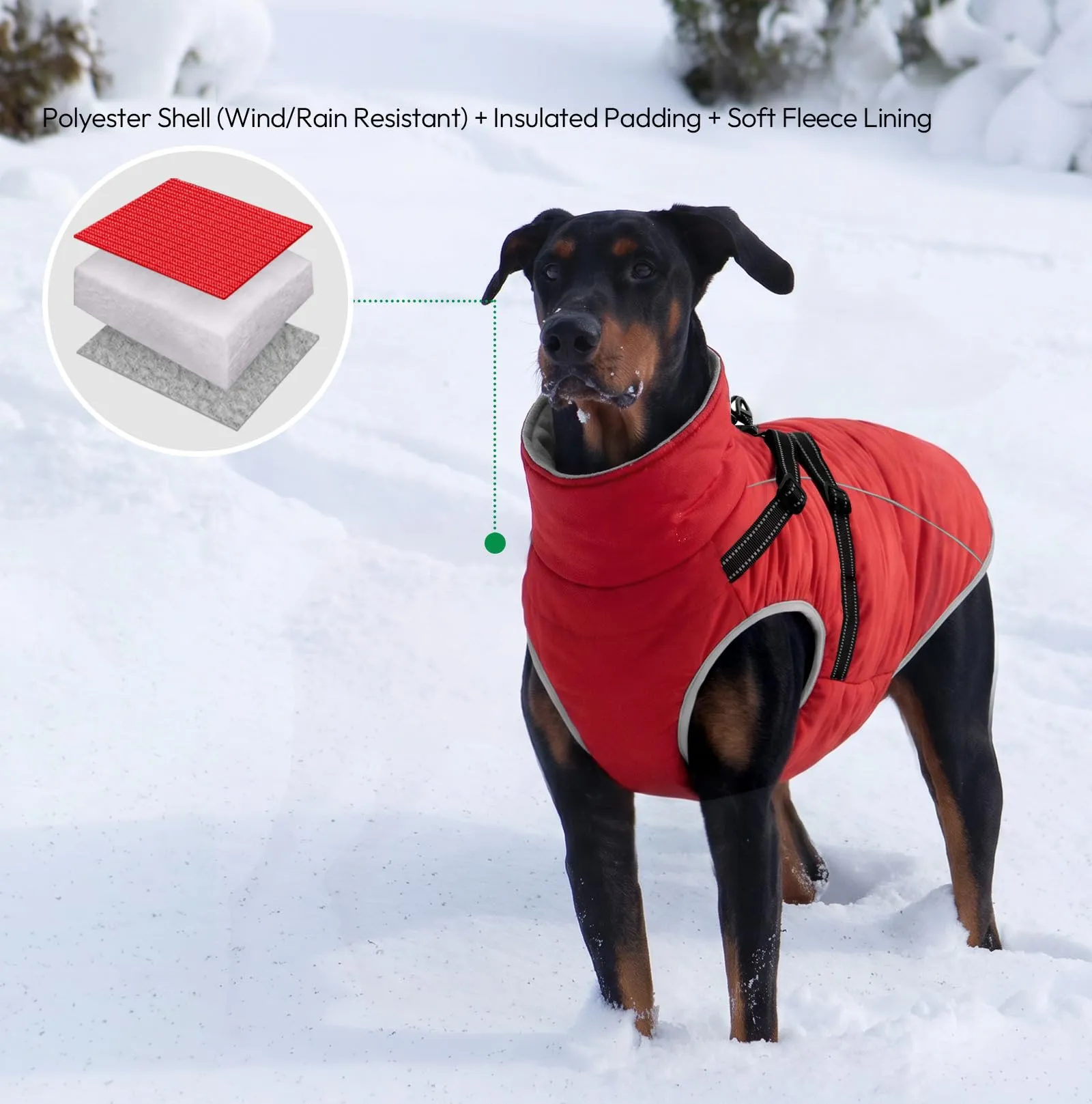 KONVINIT Cappottino Cane Media Giacca Invernale con Pettorina Integrata - immagine 4