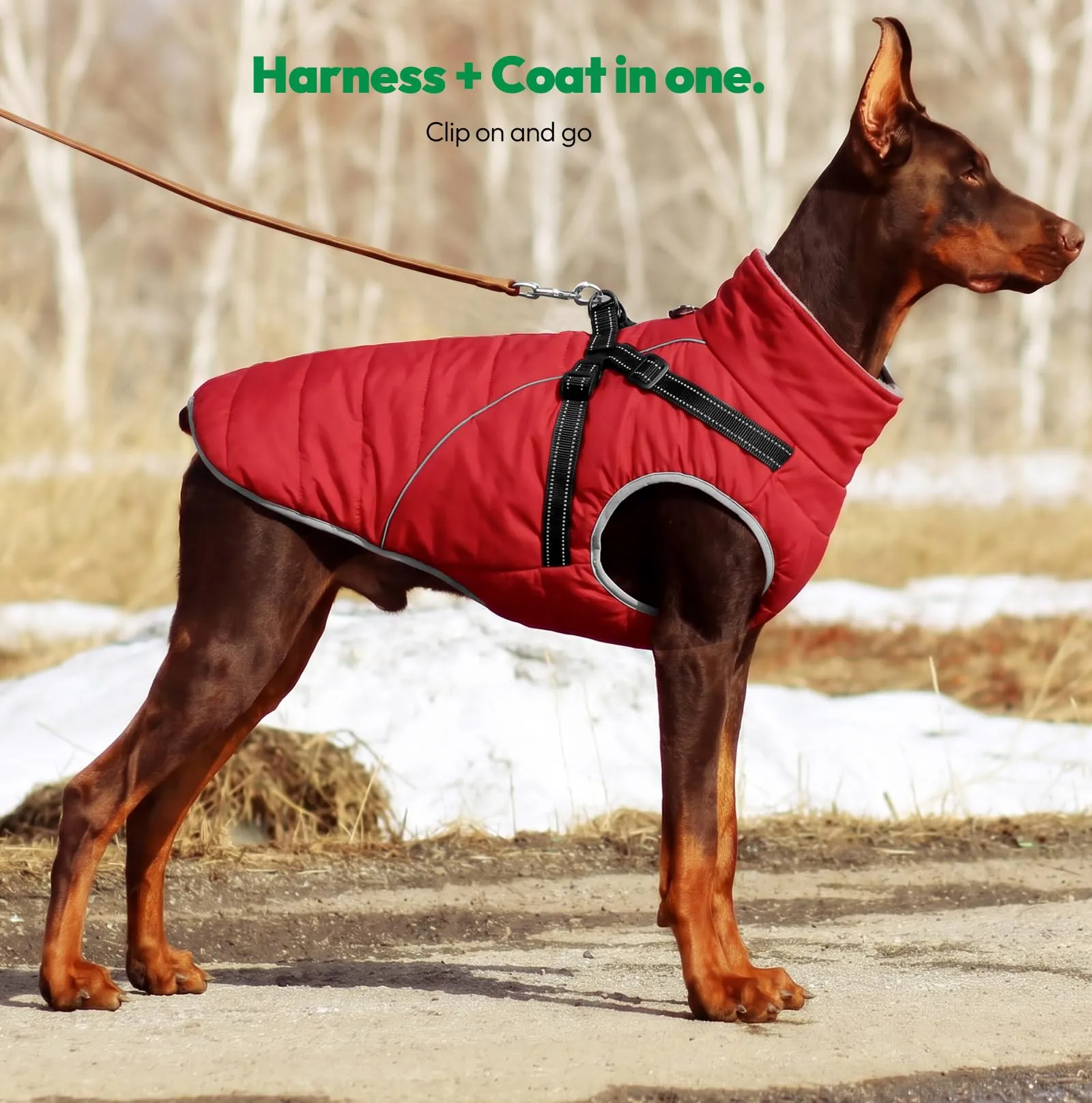 KONVINIT Cappottino Cane Media Giacca Invernale con Pettorina Integrata - immagine 7