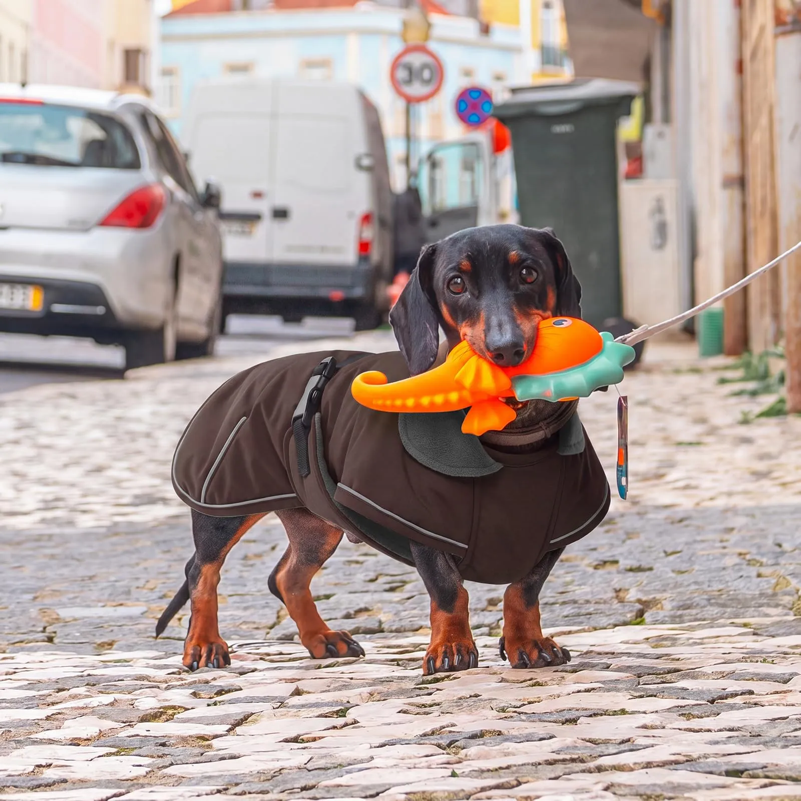 Hjyokuso Cappotto invernale per cani bassotto, antivento e impermeabile, per cani di taglia grande, con protezione addominale e foro per il guinzaglio, marrone scuro - immagine 7