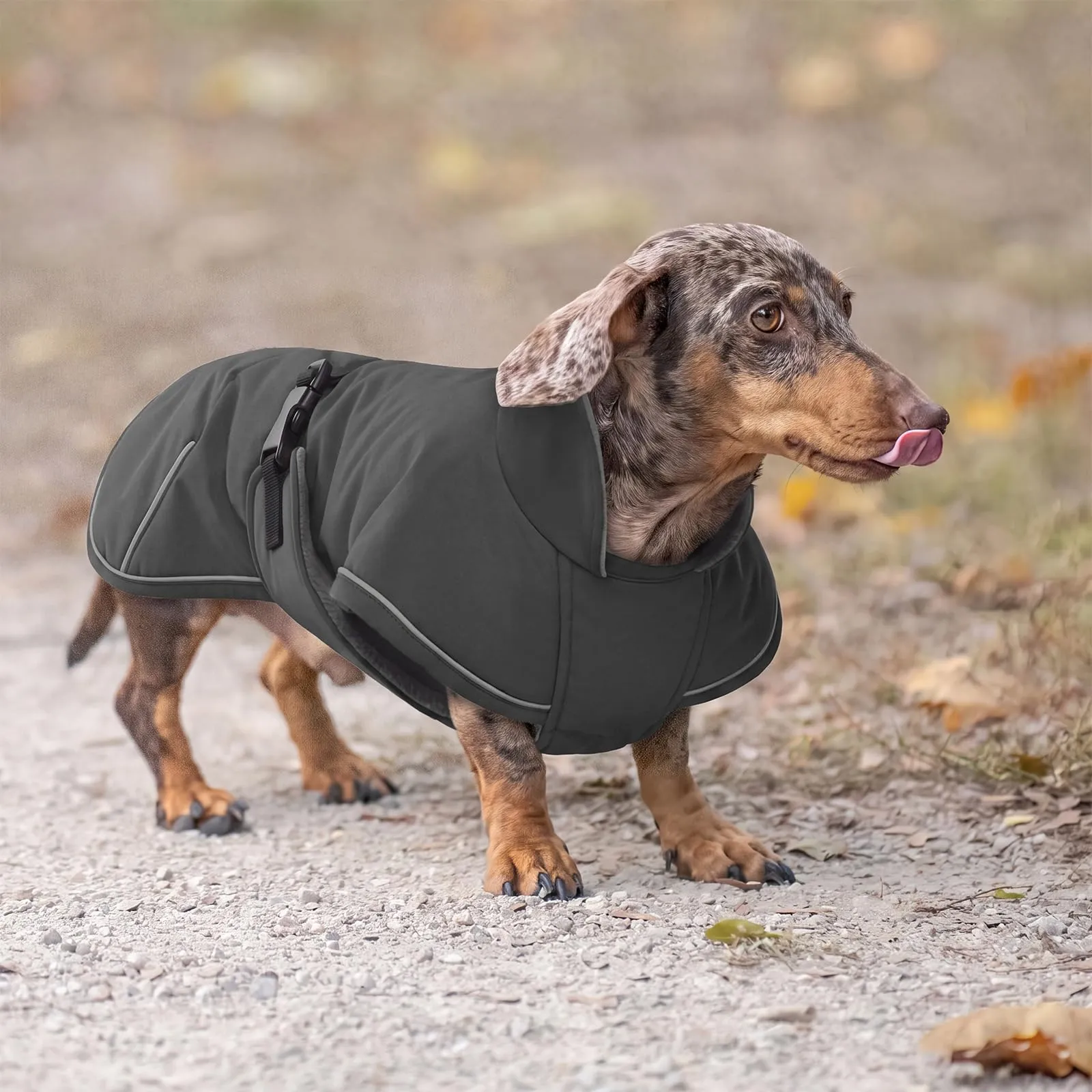 Hjyokuso Cappottino invernale per bassotto, antivento e impermeabile, per cani di piccola taglia, XS, con protezione addominale e foro in lino, grigio scuro - immagine 6