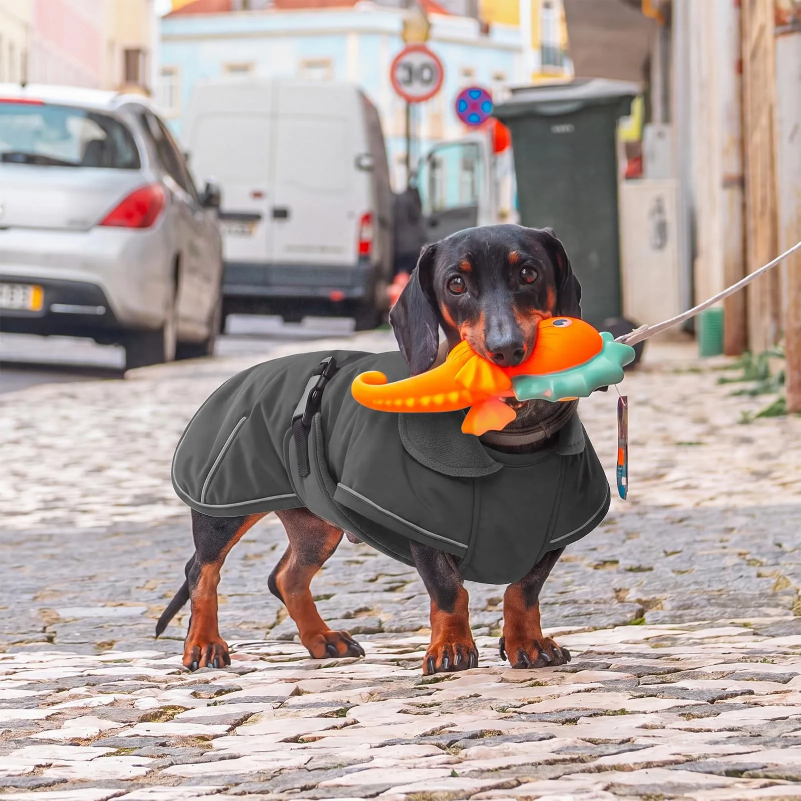 Hjyokuso - Cappotto invernale per teckel - Antivento e impermeabile - Per cani di piccola taglia - XS - Con protezione addominale e foro in lino - Grigio scuro - immagine 7