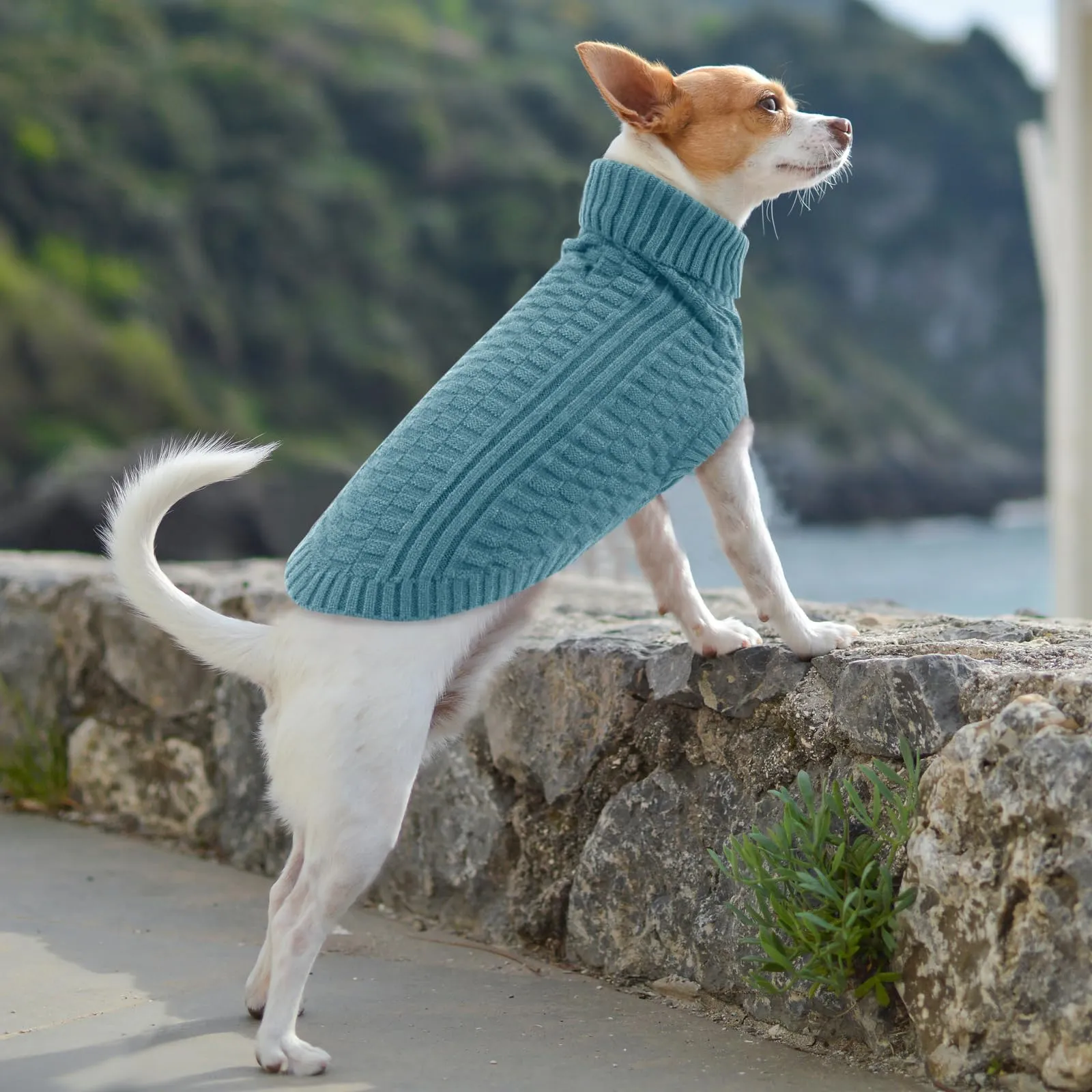 CITÉTOILE Maglione in Lana per Cani e Gatti Per Il Freddo Blu XS - immagine 6