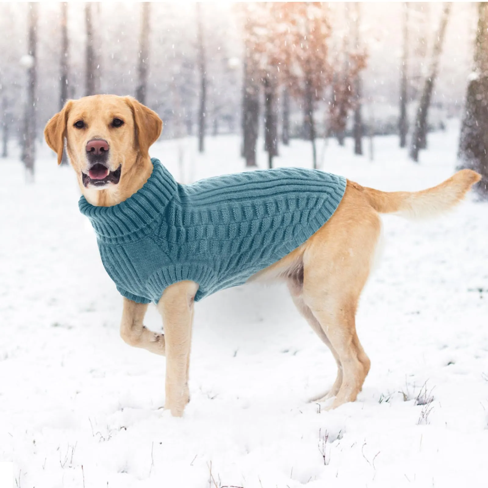 CITÉTOILE Maglione in Lana per Cani e Gatti Per Il Freddo Blu M - immagine 7