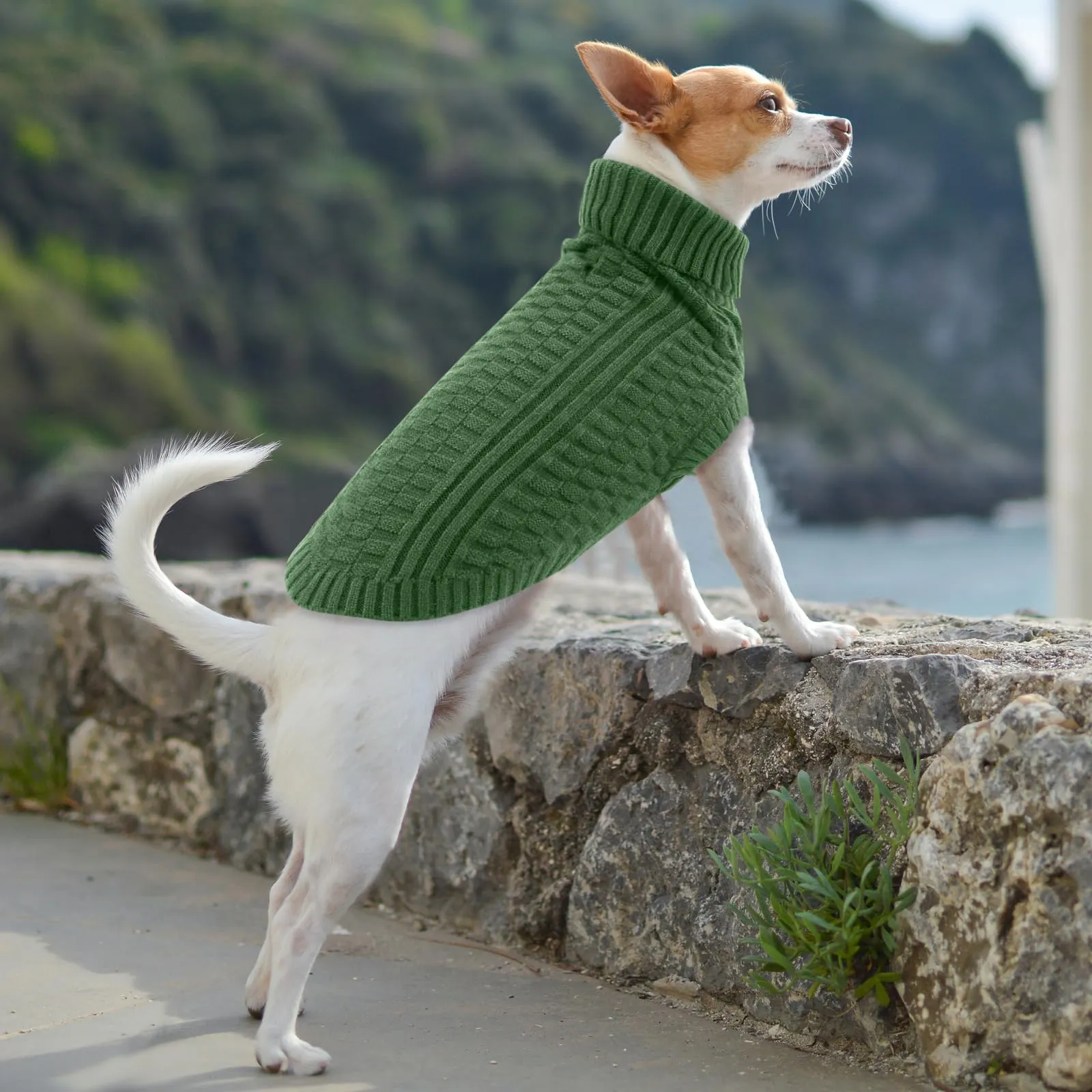 CITÉTOILE Maglione in Lana per Cani e Gatti Per Il Freddo Verde S - immagine 6