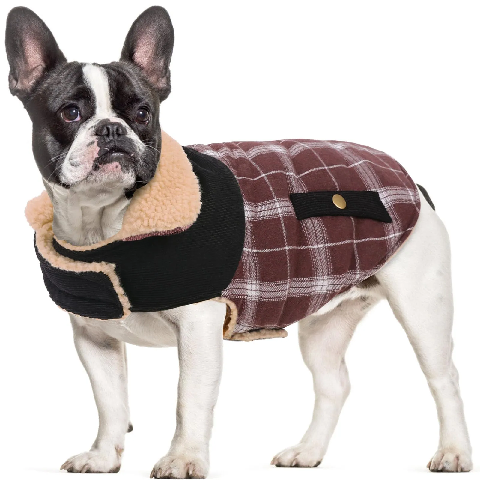 CITÉTOILE Cappotto Invernale per Cani in Lana Spessa Marrone XL - immagine 1