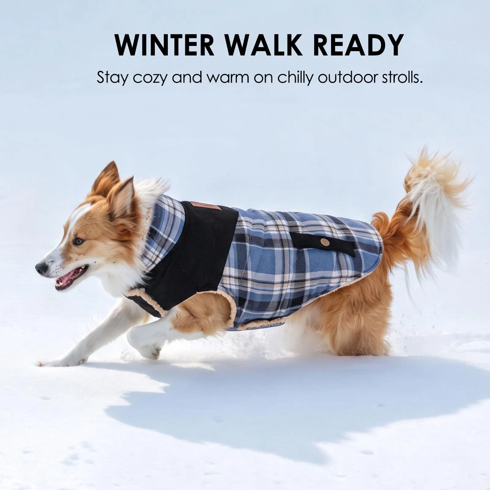 CITÉTOILE Cappotto Invernale per Cani in Lana Spessa Blu XS - immagine 7