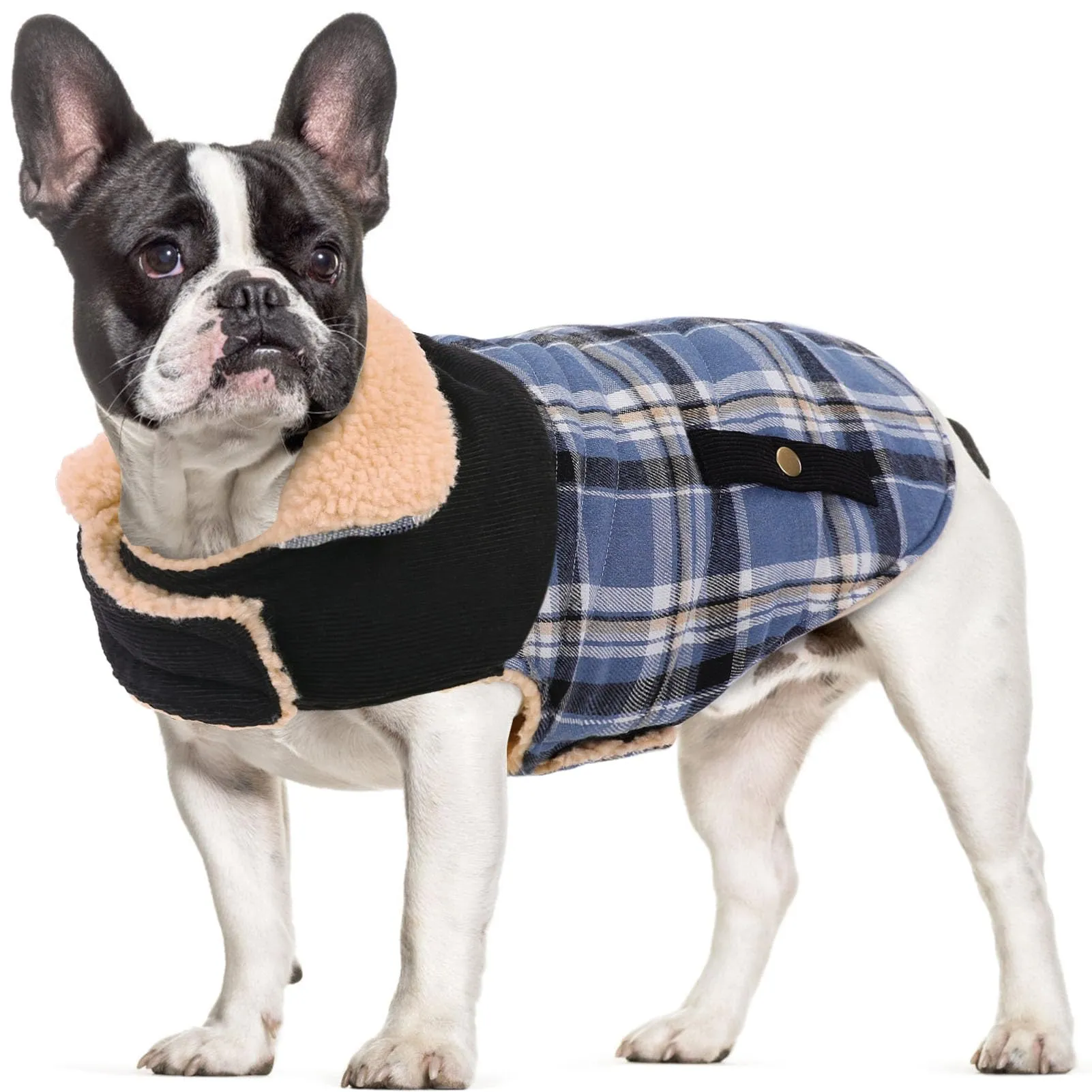 CITÉTOILE Cappotto Invernale per Cani in Lana Spessa Blu XL - immagine 1