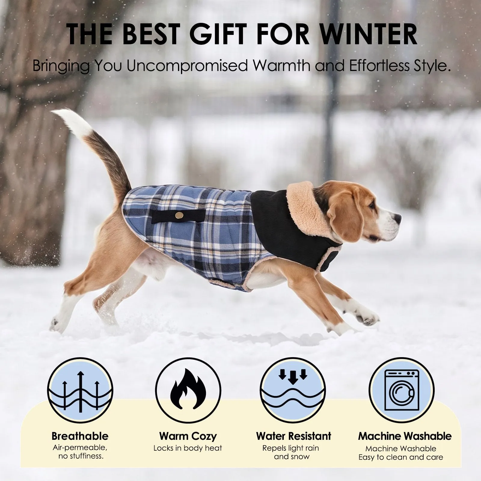 CITÉTOILE Cappotto Invernale per Cani in Lana Spessa Blu S - immagine 5