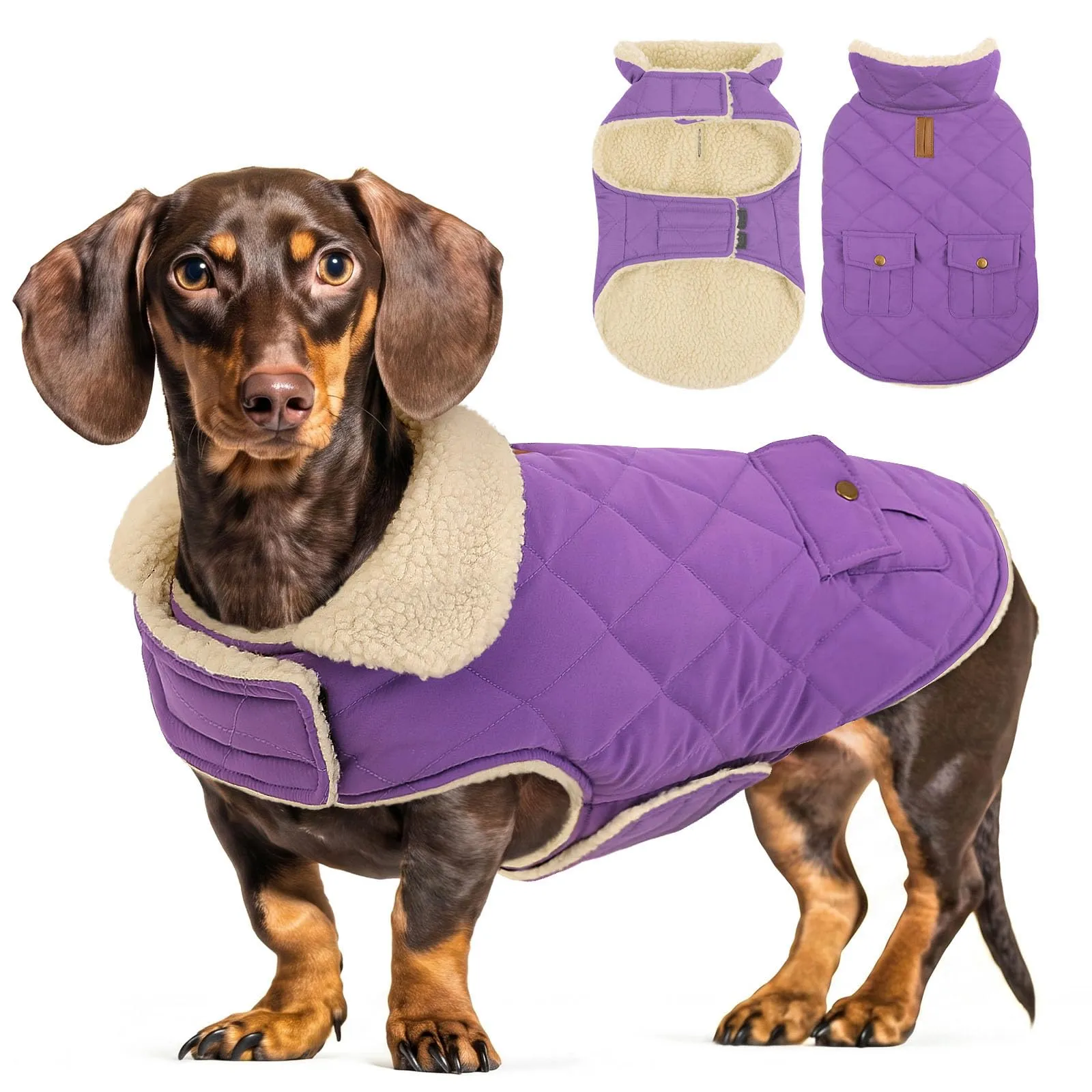 CITÉTOILE Gilet Termico Invernale per Cani in Lana Spessa Violetta scura XL - immagine 1