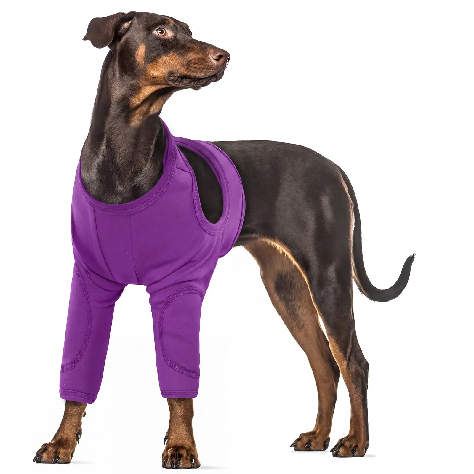 Gomitiera per cani, tuta protettiva con zampa anteriore per cani dopo un intervento chirurgico, evita che il vostro animale domestico perda le cuciture in caso di lesioni alla zampa anteriore (viola - immagine 1