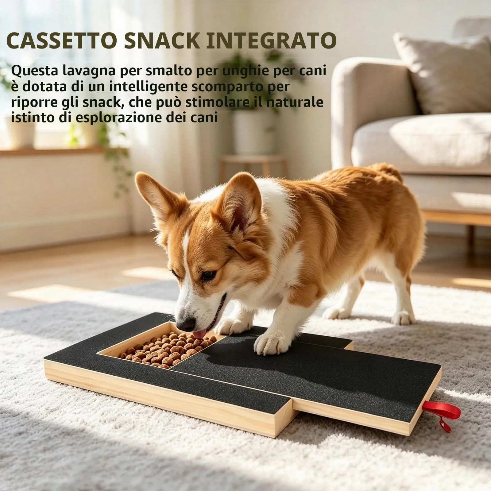 MEIQJIE Tavolo Graffiante per Cani con Scatola Snack, Lima Unghie per Cani - immagine 6