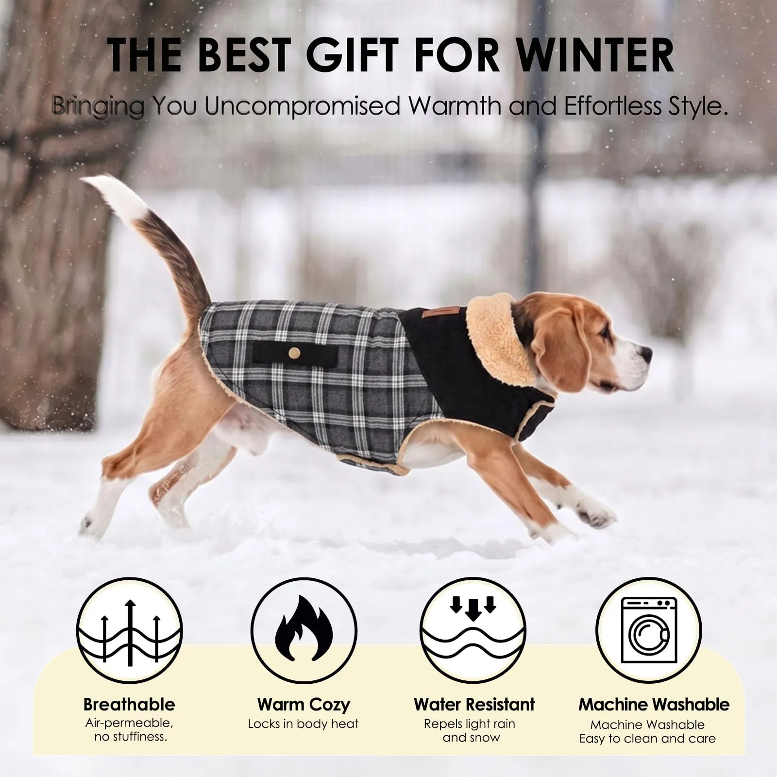 CITÉTOILE Cappotto Invernale per Cani in Lana Spessa Nero XS - immagine 5