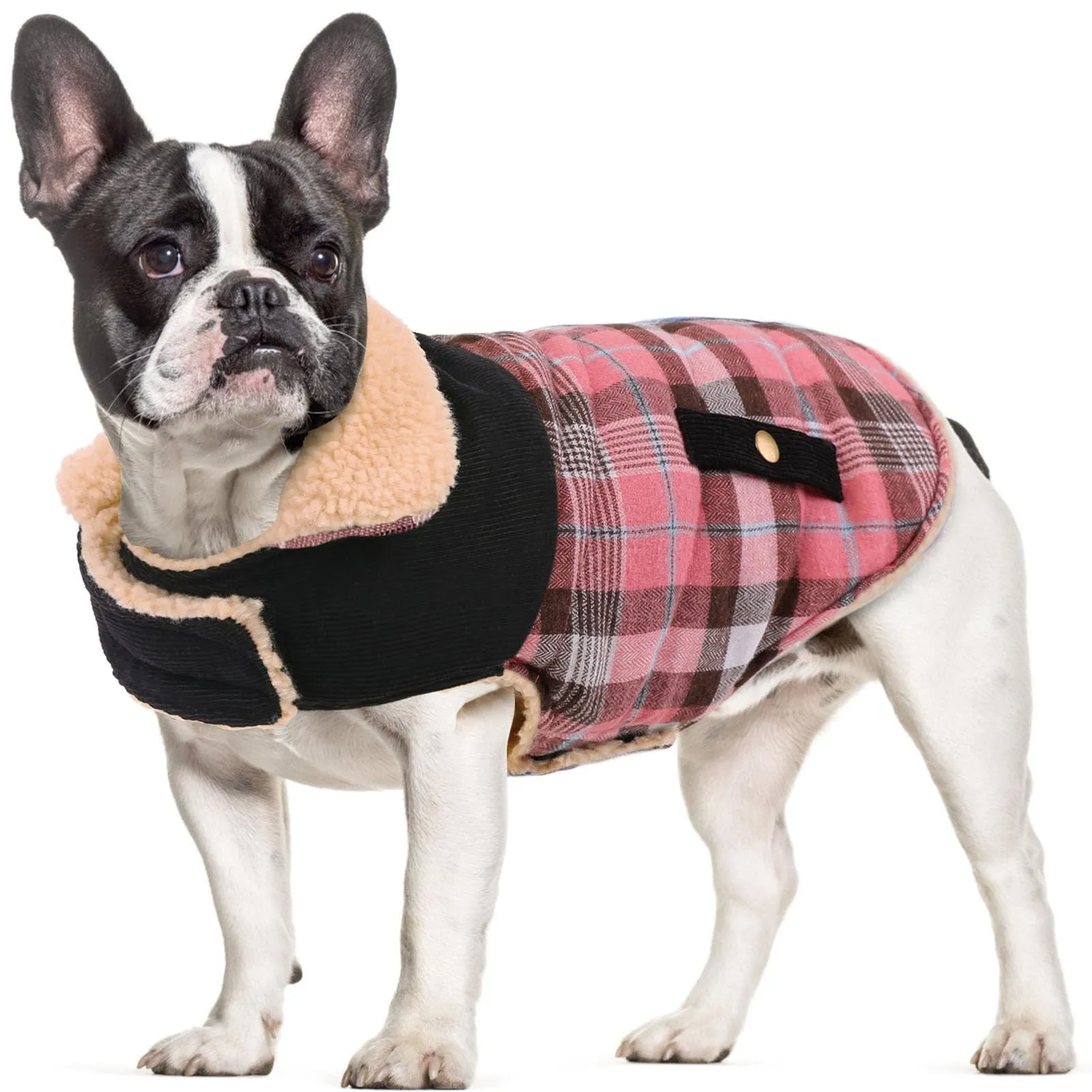 CITÉTOILE Cappotto Invernale per Cani in Lana Spessa Rosa XL - immagine 1