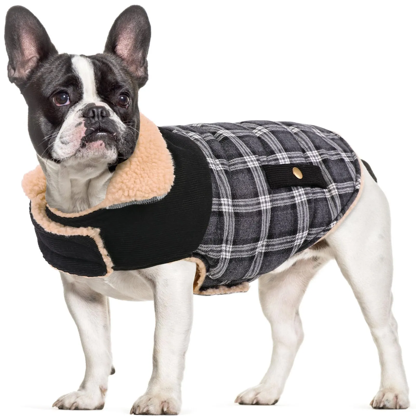 CITÉTOILE Cappotto Invernale per Cani in Lana Spessa Nero XL - immagine 1