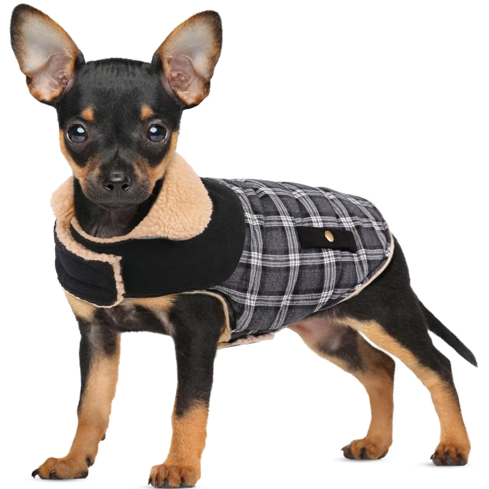 CITÉTOILE Cappotto Invernale per Cani in Lana Spessa Nero S - immagine 1