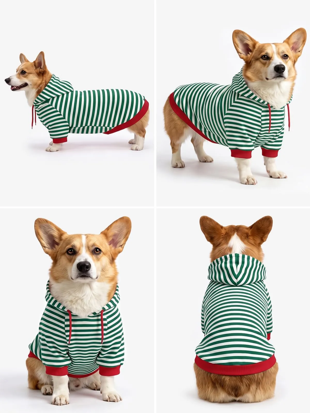 Haloumoning Felpa con Cappuccio per Cani, Verde, Medium - immagine 2