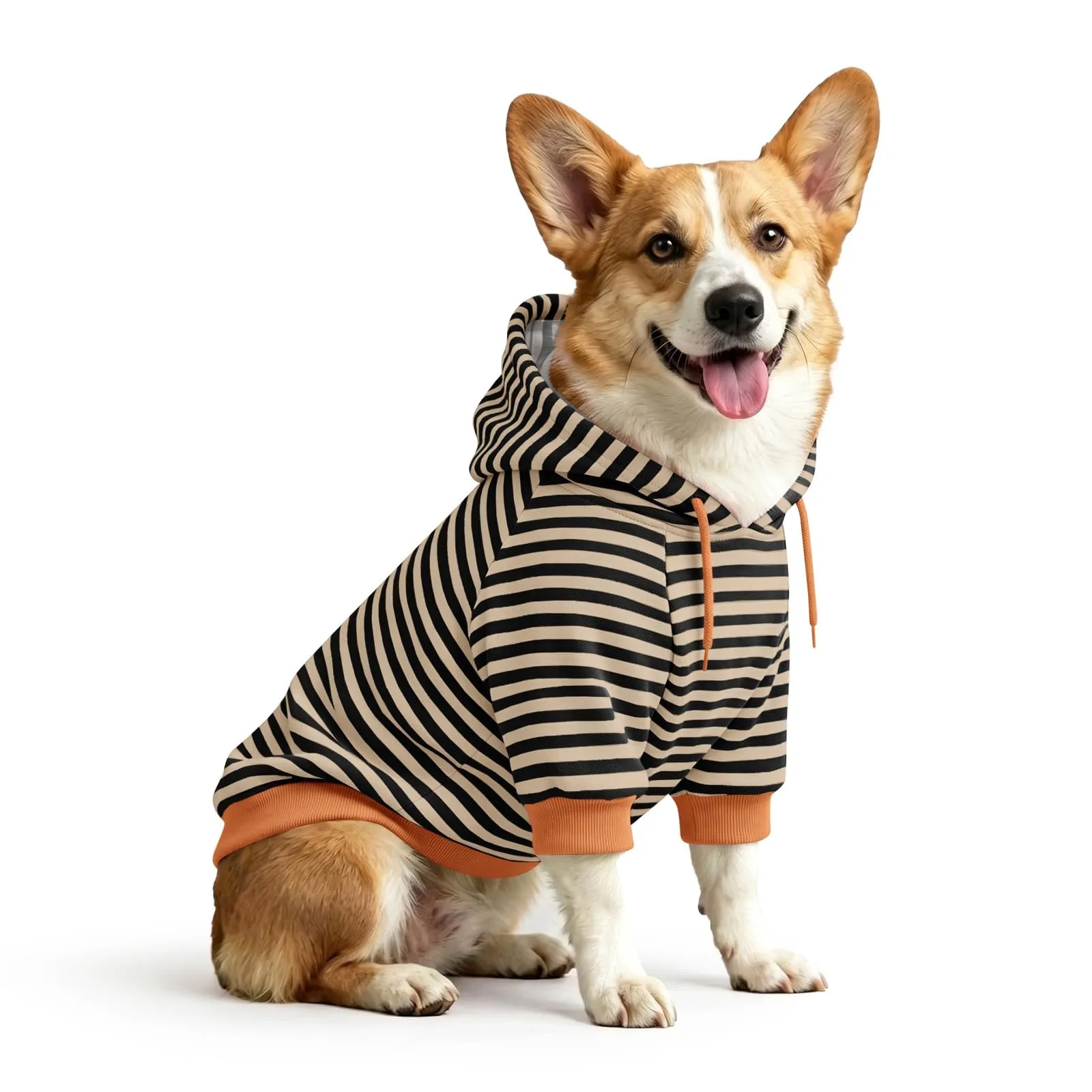 Haloumoning Felpa con Cappuccio per Cani, Nero, Large - immagine 1
