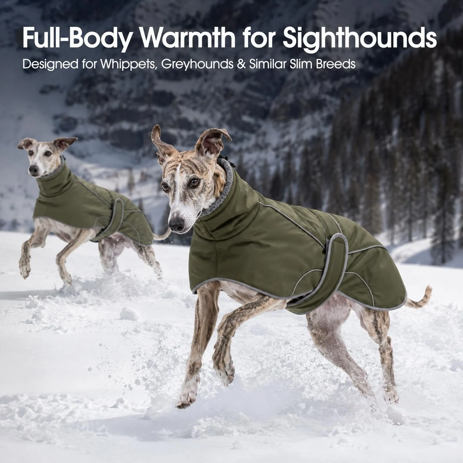 Greyhound Coat Geyecete - Cappotto impermeabile per cani, collo alto, per - immagine 7