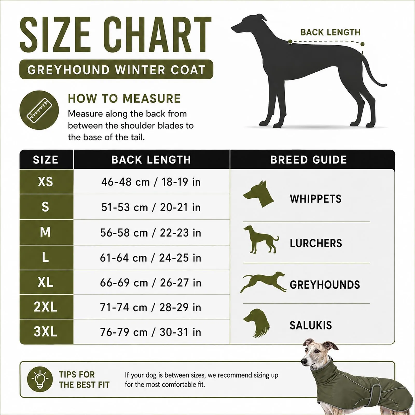 Greyhound Coat Geyecete - Cappotto impermeabile per cani, collo alto, per - immagine 4