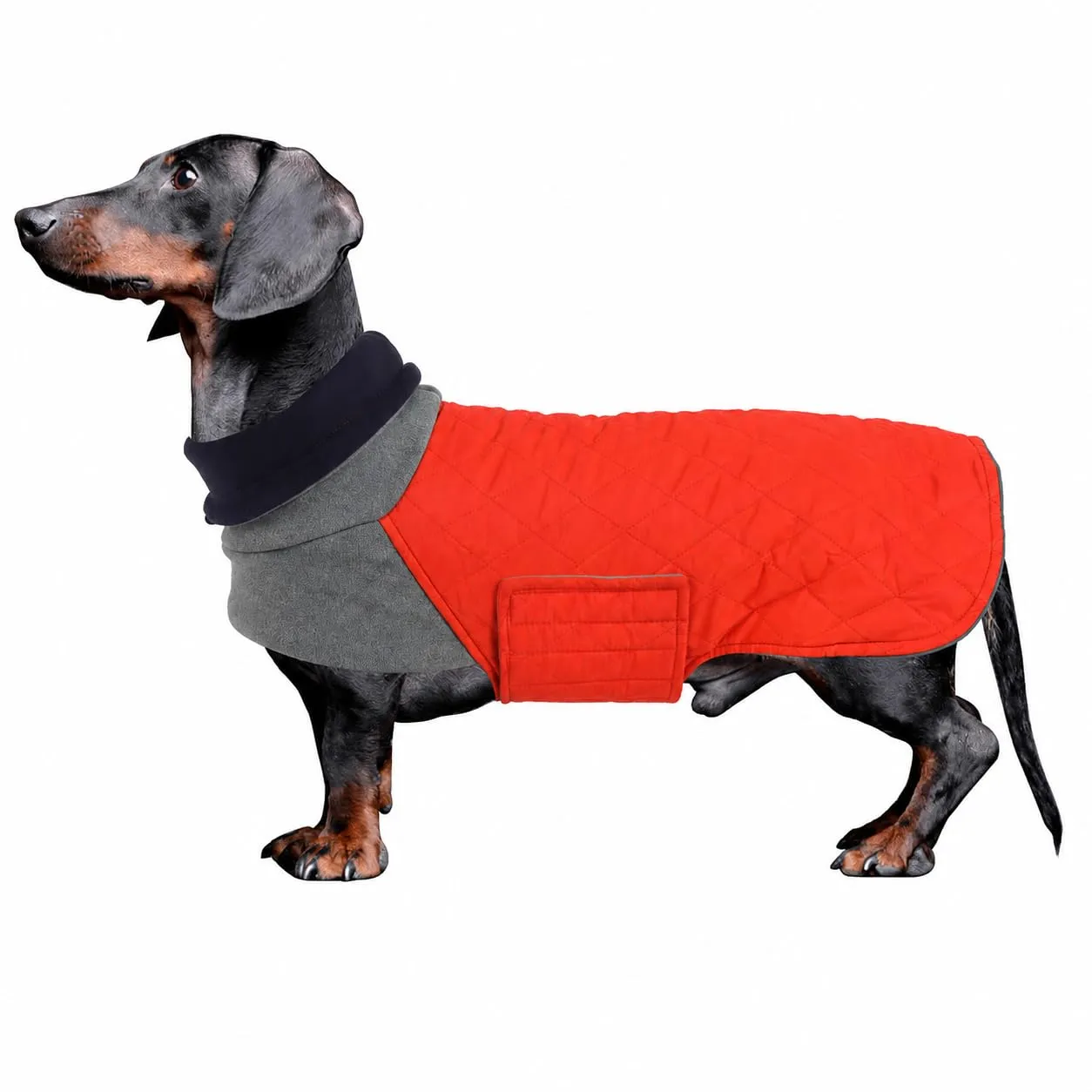 Geyecete Cappotto invernale trapuntato e antivento per cani - immagine 1