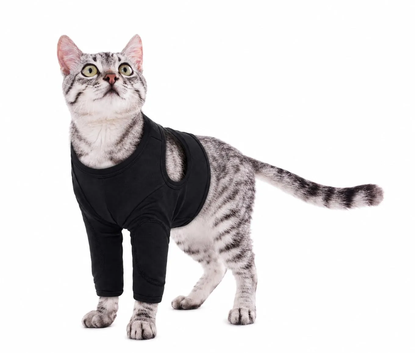Body per gatti con zampe lunghe, protezione per le zampe anteriori, smette di leccare e graffiare (nero, taglia XS) - immagine 1