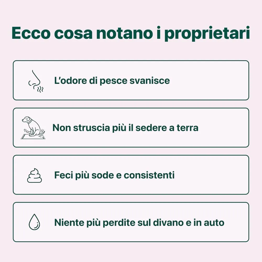 Sollievo Ghiandole - Odore di Pesce, Feci Molli, Perdite e Sedere a Terra - immagine 3