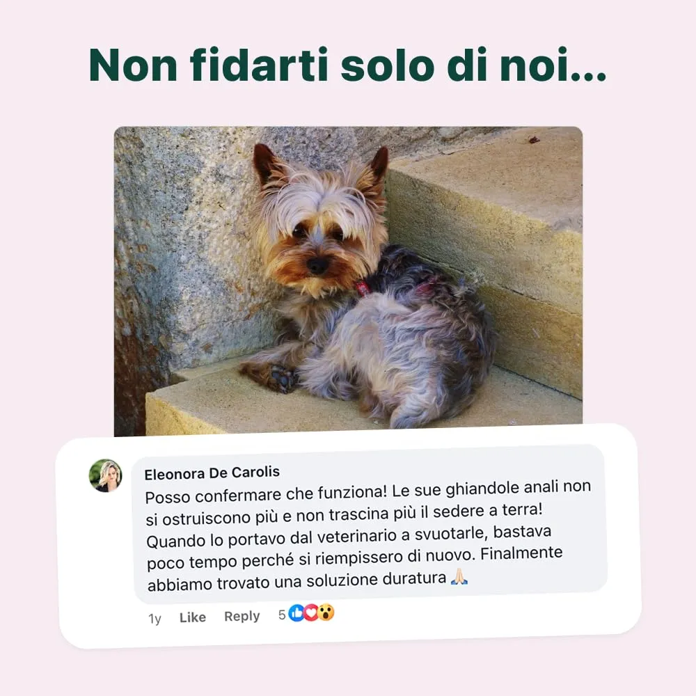 Sollievo Ghiandole - Odore di Pesce, Feci Molli, Perdite e Sedere a Terra - immagine 4