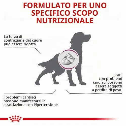 Royal Canin Cardiac | 12 x 410 g | Dieta - alimento completo per cani adulti | Può aiutare a sostenere la funzione cardiaca nell'insufficienza cardiaca cronica | Mousse - immagine 4