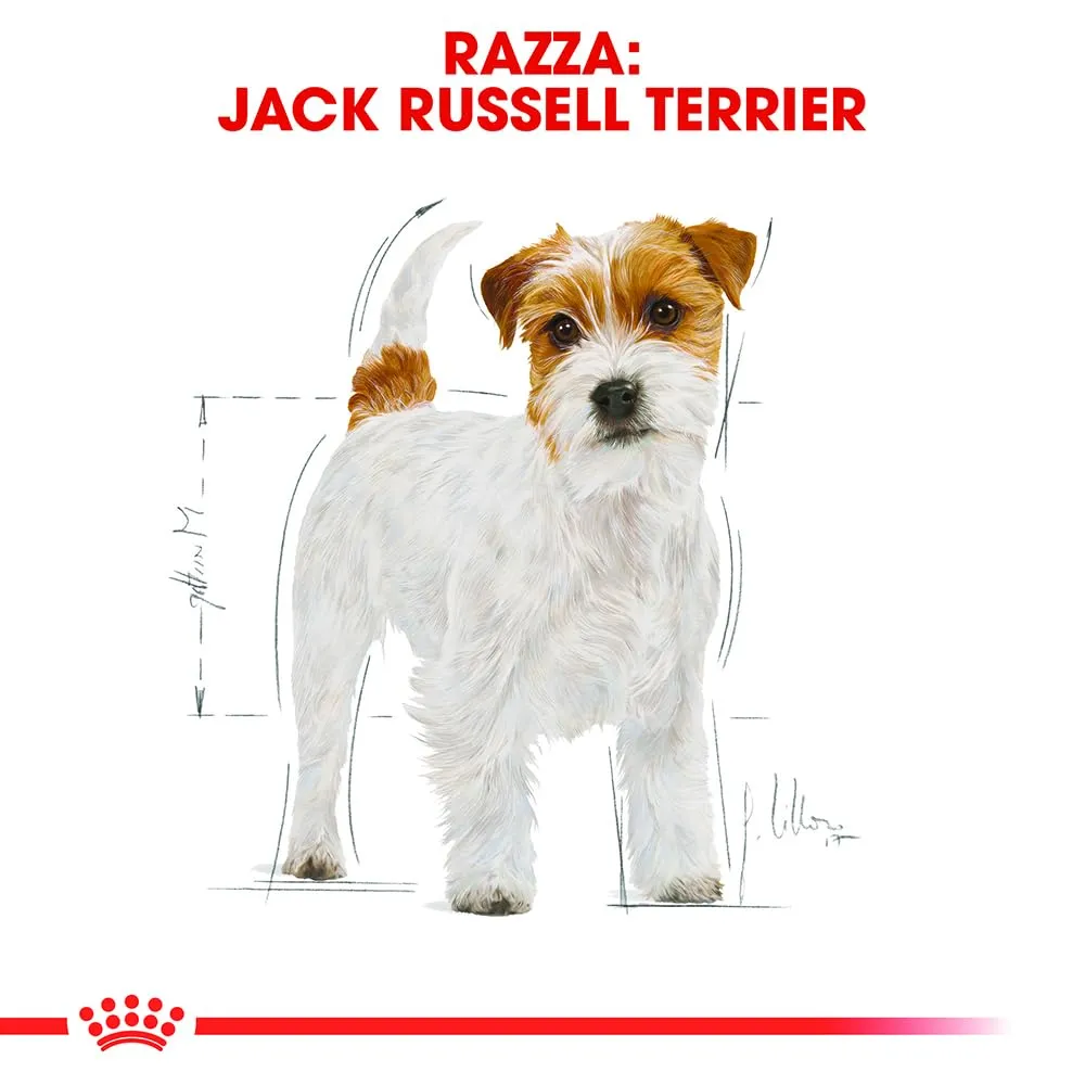 ROYAL CANIN Jack Russell Terrier Adult - Cibo secco per cani - 3kg - immagine 3
