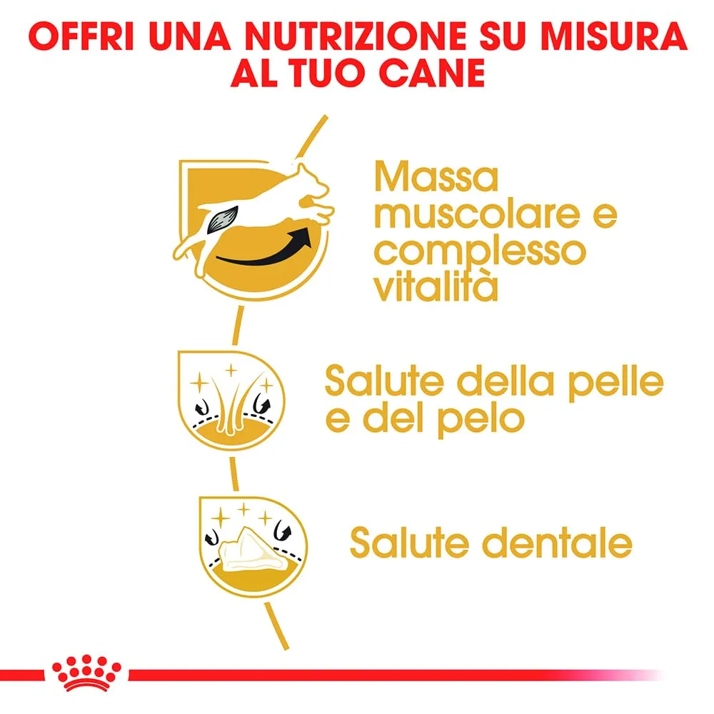 ROYAL CANIN Jack Russell Terrier Adult - Cibo secco per cani - 3kg - immagine 5