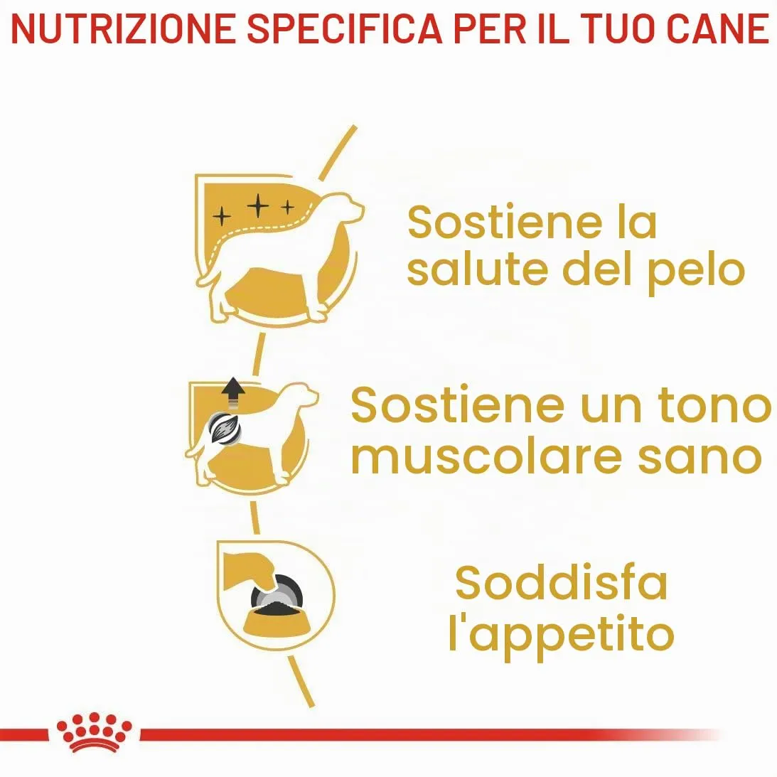 Royal Canin Poodle Adult | 12 x 85 g | Alimento umido per barboncini adulti e anziani | A partire da 10 mesi di età | Per il mantenimento del pelo | Con una consistenza gustosa - immagine 5