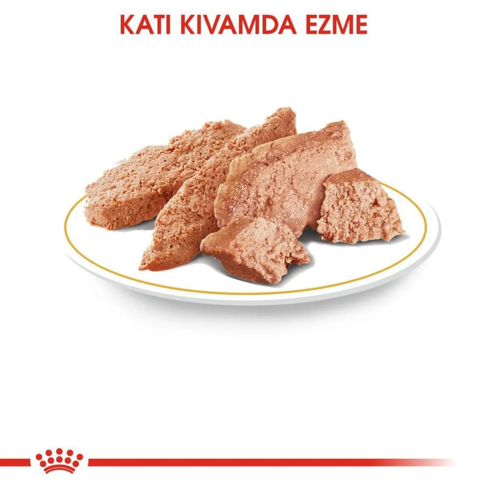 Royal Canin Poodle Adult | 12 x 85 g | Alimento umido per barboncini adulti e anziani | A partire da 10 mesi di età | Per il mantenimento del pelo | Con una consistenza gustosa - immagine 6
