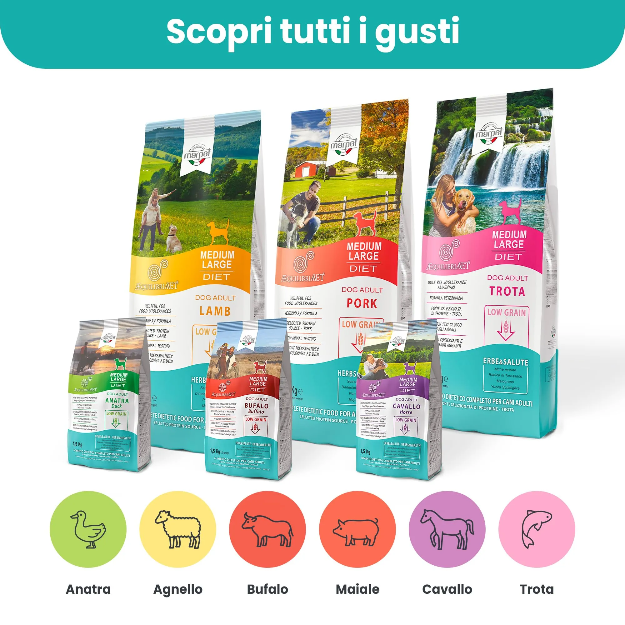 Marpet AequilibriaVet Agnello Medium Large Diet, cani adulti, 12 kg - immagine 8