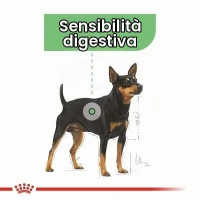 Royal Canin Mini Digestive Care - immagine 2