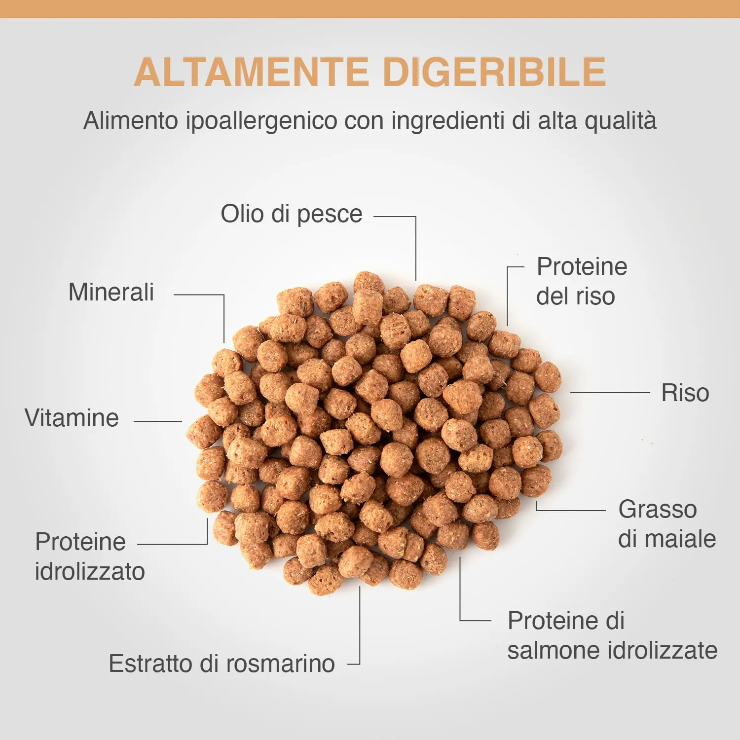 SPECIFIC® Allergen Management Plus (CΩD-HY) - 3 x 4 kg - Alimento umido ipoallergenico per cani di tutte le età con salmone idrolizzato - Senza glutine - Dechra Veterinary Products - immagine 3