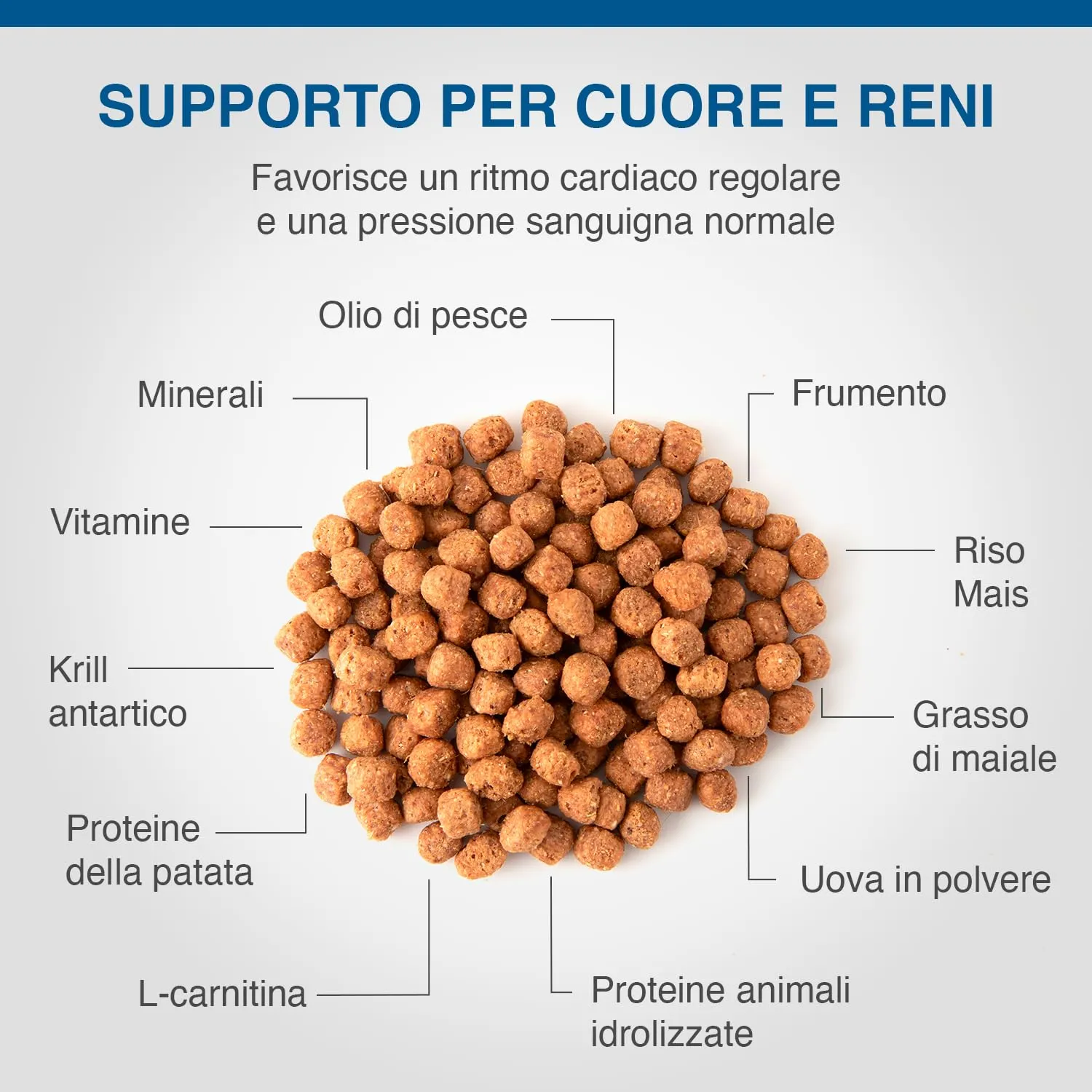 SPECIFIC® Heart & Kidney Support (CKD) 7 Kg - Cibo secco per cani adulti - Ridotto contenuto proteico per diminuire il carico di lavoro dei reni - Omega 3 - DECHRA Veterinary Products - - immagine 3
