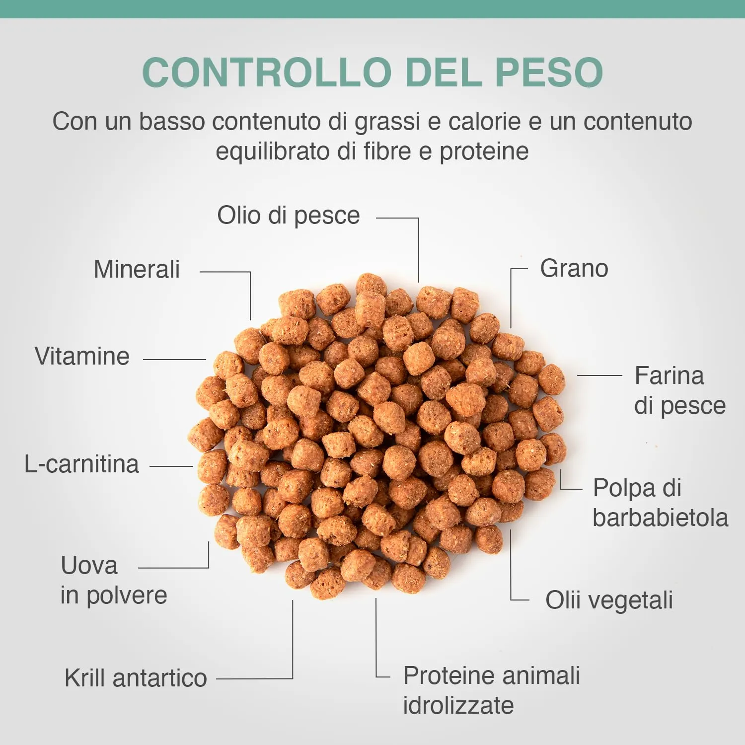 SPECIFIC® Weight Control (CRD-2) 1,6 Kg - Cibo secco per cani di tutte le età - Favorisce il mantenimento del peso forma - Ridotto contenuto di grassi - L-Carnitina - DECHRA Veterinary Products - immagine 3
