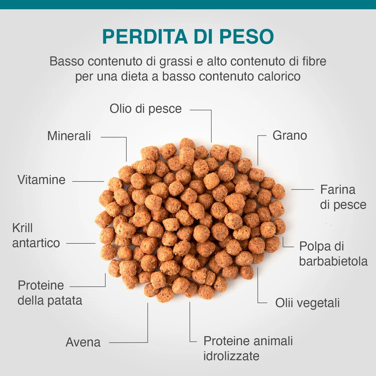 SPECIFIC® Weight Reduction (CRD-1) 6 Kg - Crocchette per cani di tutte le età - Favorisce la perdita di peso - Ridotto contenuto di grassi - L-Carnitina, Omega-3 - DECHRA Veterinary Products - immagine 3