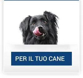 Monge Alimento Cibo Umido per Cani MONOPROTEICO 100% Maiale GR.150X24 - immagine 7