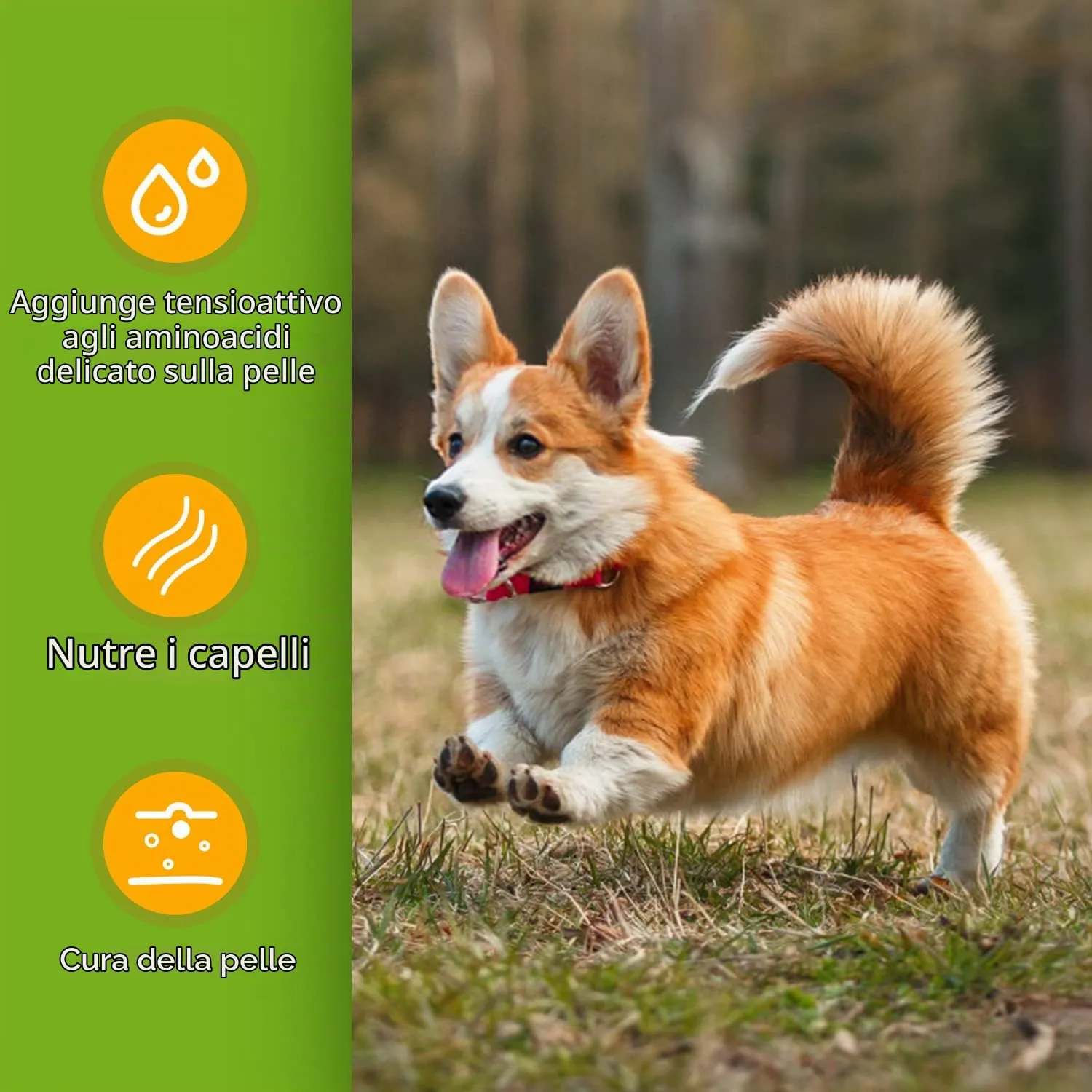 Nobleza Shampoo Delicato per Cuccioli Cani Profumo di Mandorla e Miele,Ideale Shampoo Cani Pelo Corto,Shampoo Igienizzante per Bulldog e Carlino 250 ml - immagine 4