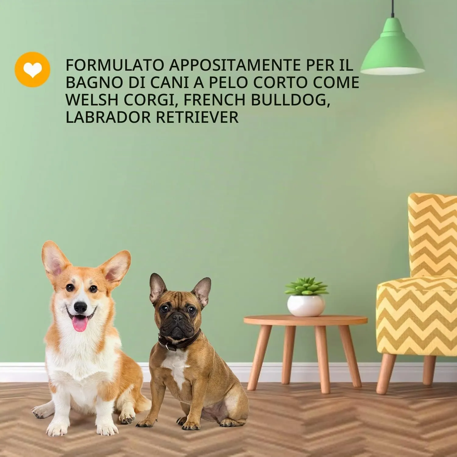 Nobleza Shampoo Delicato per Cuccioli Cani Profumo di Mandorla e Miele,Ideale Shampoo Cani Pelo Corto,Shampoo Igienizzante per Bulldog e Carlino 250 ml - immagine 7