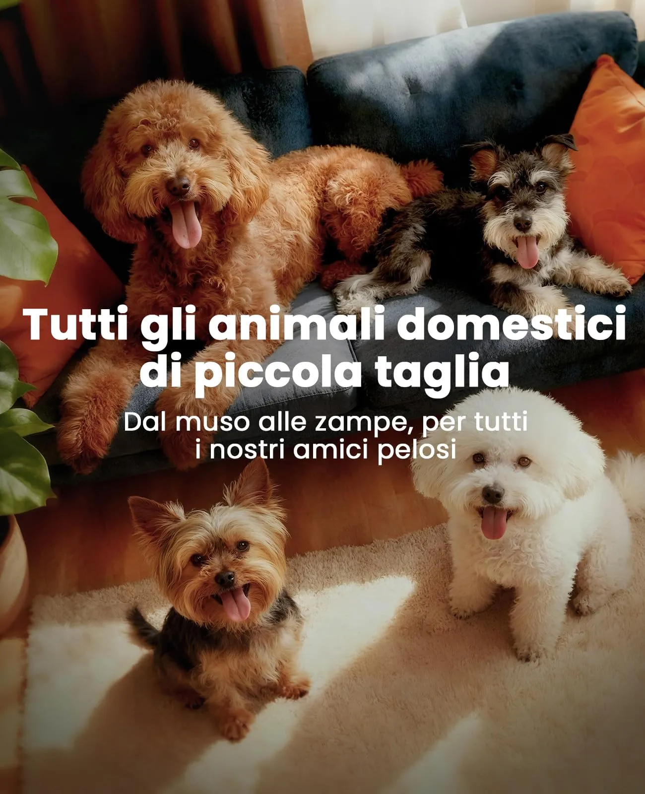 oneisall Tosatrice per cani Tosatrice a basso rumore Tosatrice per cani per gatti zampe, occhi, orecchie, viso, corpo (Bianco) - immagine 7