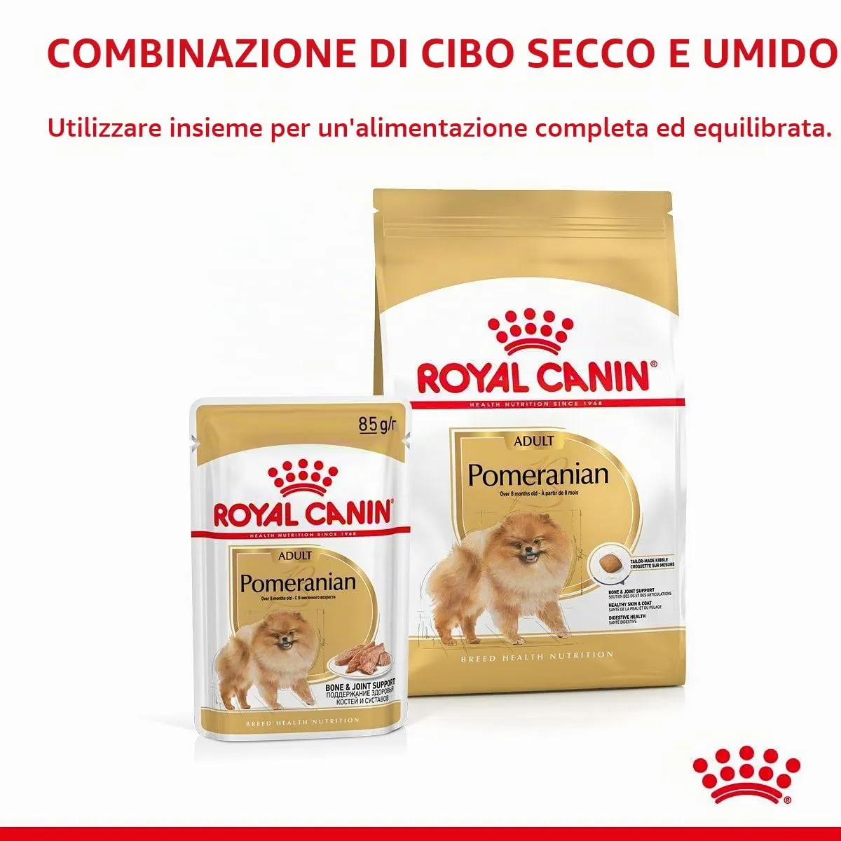 Royal Canin Pomeranian Adult | 3 kg | Alimento completo per cani | Cibo secco per Pomeranian adulti e anziani | A partire dall'8° mese | Contenuto minerale adeguato - immagine 4