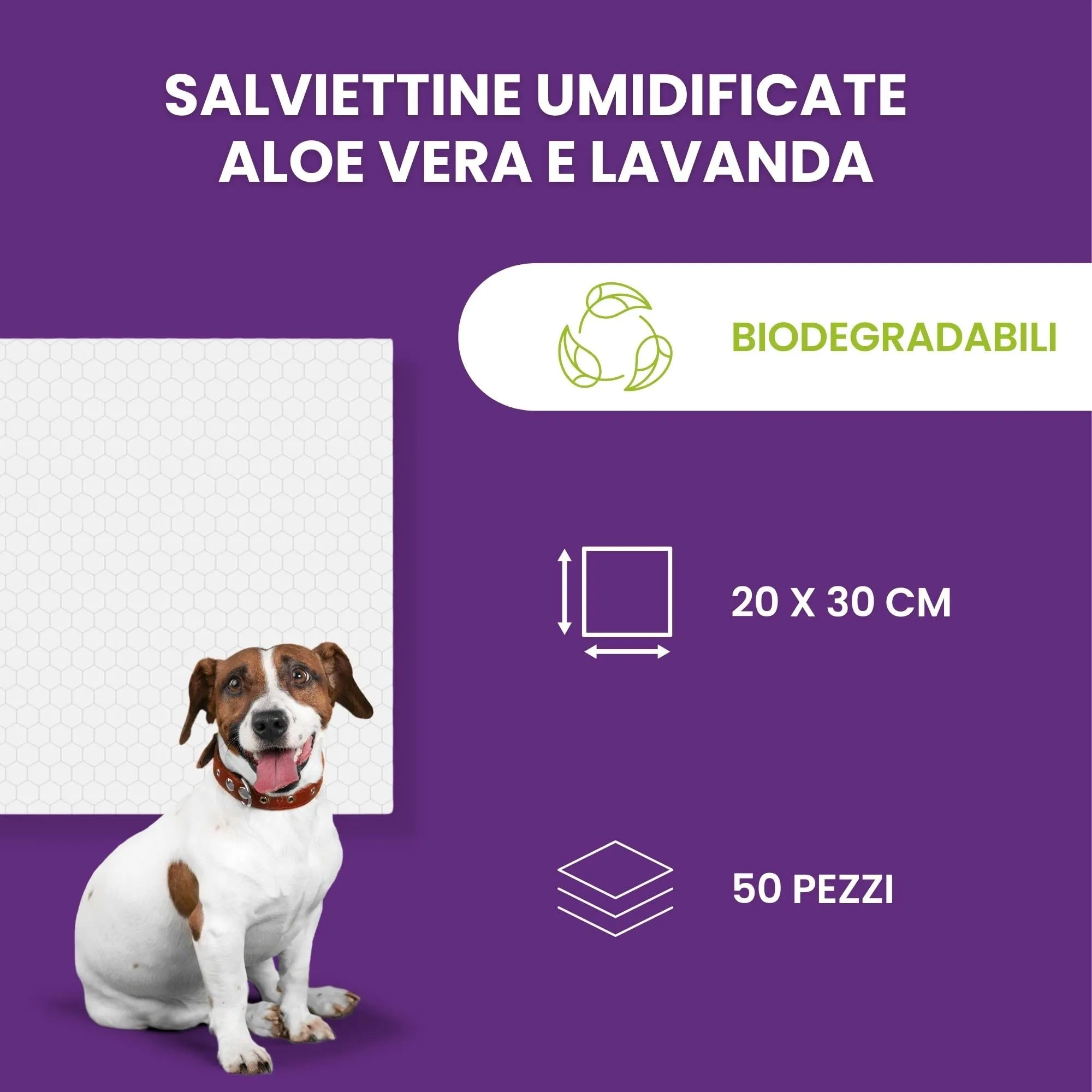 Italian Pet - Salviette Biodegradabili Aloe Vera e Lavanda - Salviette Detergenti Umidificate per Zampe, Muso e Pelo di Cani, Gatti, Conigli, Animali Domestici - 50 Salviette BIO Monouso - 20x30 cm - immagine 5