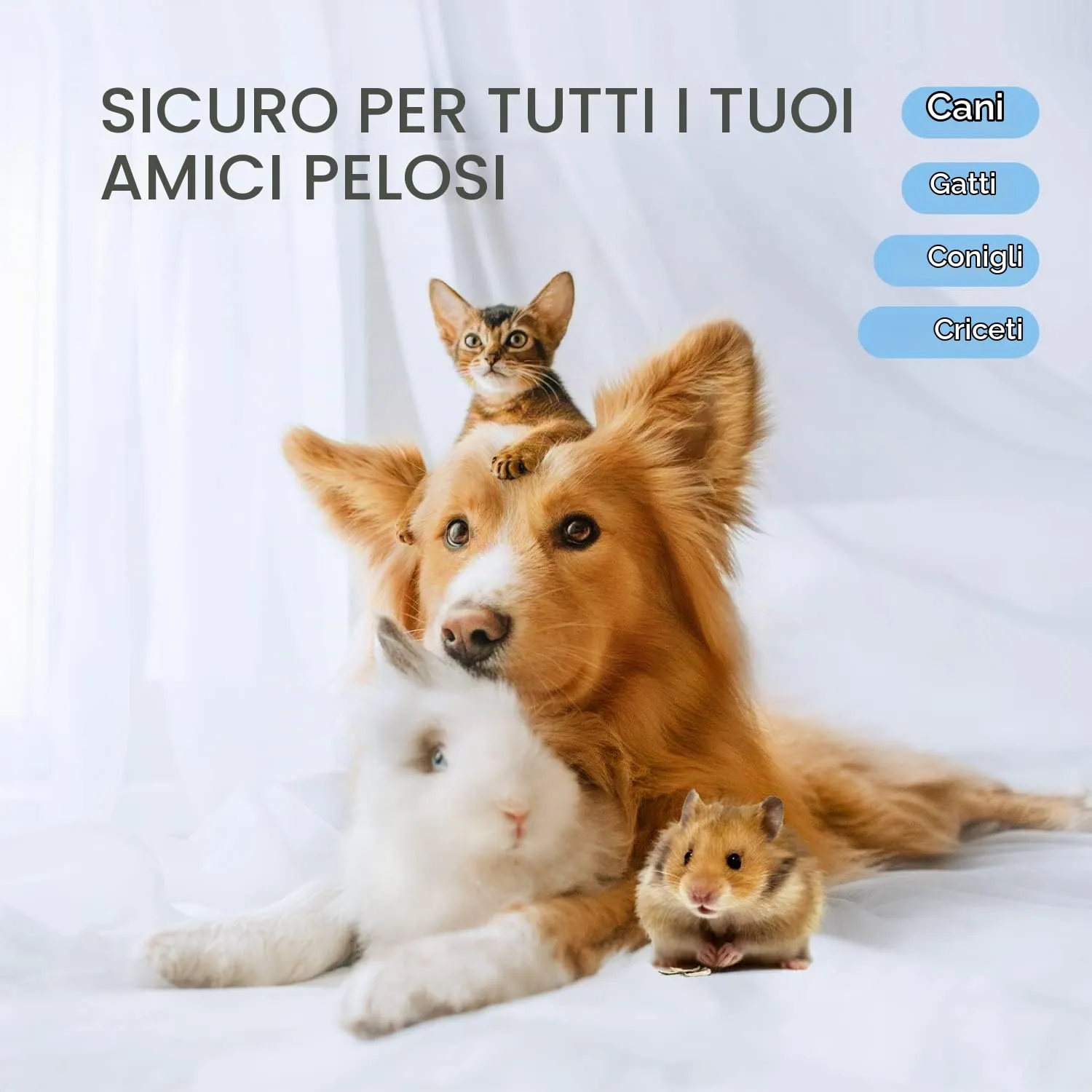 Nobleza Shampoo a Secco per Cani e Gatti e Coniglio,Adatto per Animali con Bassa Resistenza: Gattini,Cuccioli,Ipoallergenico Shampoo Mousse Al profumo di Limone e Vaniglia(250ml) - immagine 6