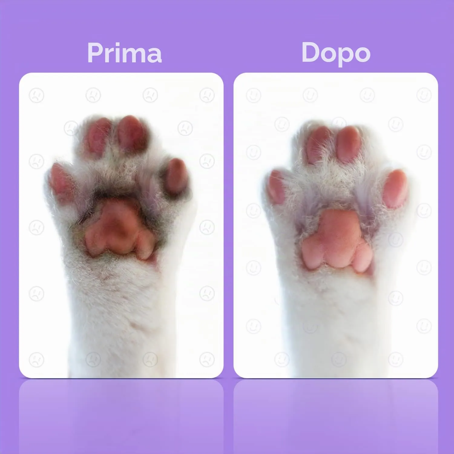 Nobleza Shampoo a Secco per Cani e Gatti e Coniglio,Dopo aver portato a spasso il cane, prima di andare a letto,Ipoallergenico Shampoo per Cuccioli di Gattino Con Profumo di Lavanda(250ml) - immagine 5