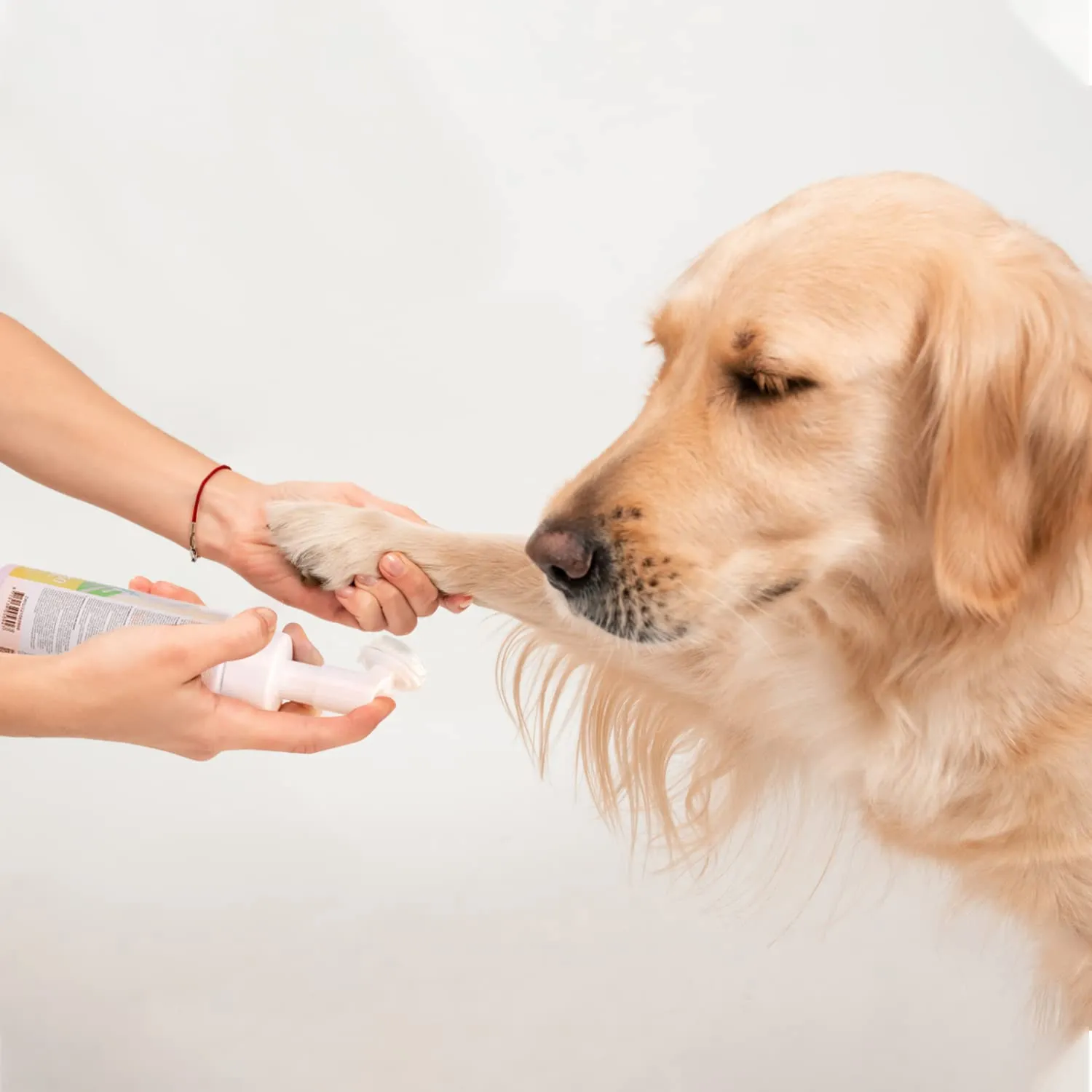 Nobleza Shampoo a Secco per Cani e Gatti e Coniglio,Dopo aver portato a spasso il cane, prima di andare a letto,Ipoallergenico Shampoo per Cuccioli di Gattino Con Profumo di Lavanda(250ml) - immagine 7